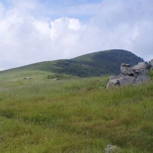 Meet your Posher, Steven